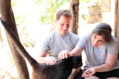 monkeys_127.JPG