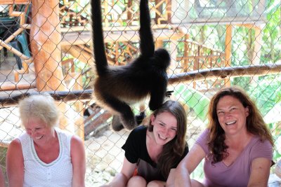 monkeys_128.JPG