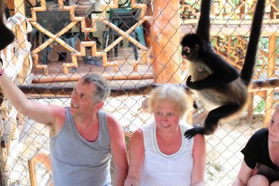 monkeys_129.JPG
