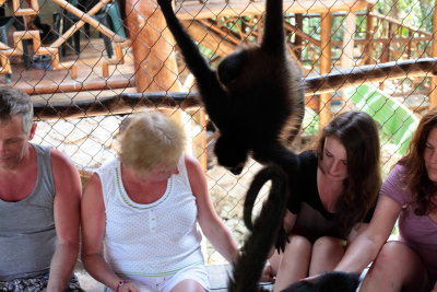 monkeys_130.JPG