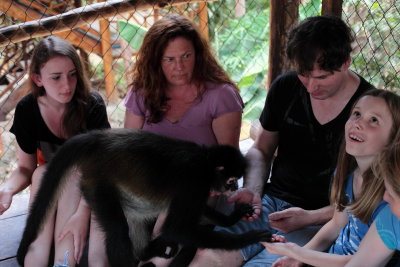 monkeys_132.JPG