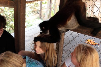 monkeys_136.JPG