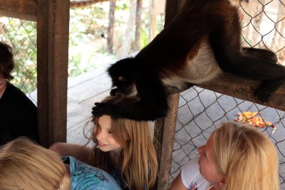 monkeys_137.JPG