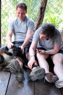 monkeys_139.JPG