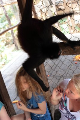 monkeys_143.JPG