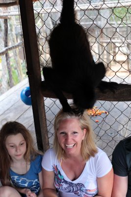 monkeys_144.JPG