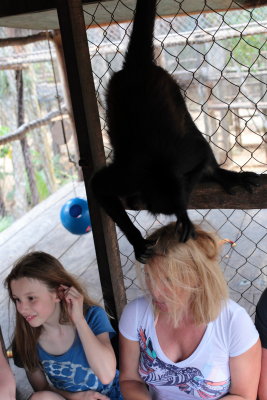 monkeys_145.JPG