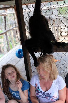 monkeys_146.JPG