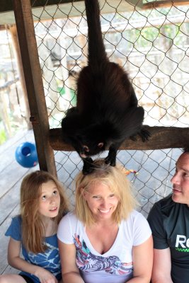 monkeys_147.JPG