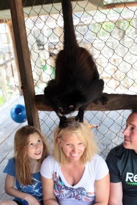 monkeys_148.JPG