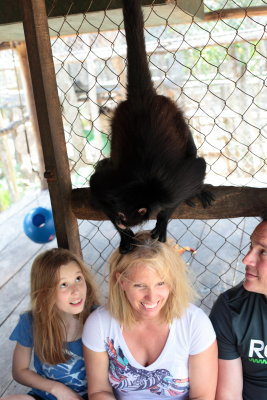 monkeys_149.JPG