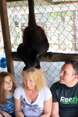 monkeys_150.JPG