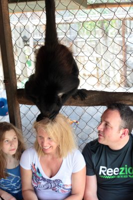 monkeys_151.JPG