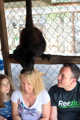 monkeys_152.JPG