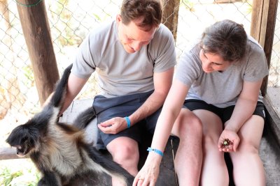 monkeys_153.JPG
