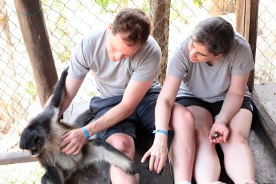 monkeys_155.JPG