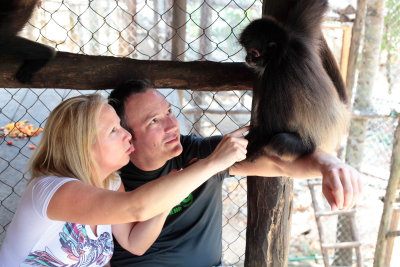 monkeys_159.JPG