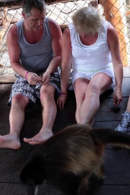 monkeys_161.JPG