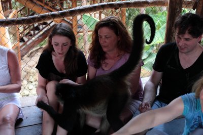 monkeys_163.JPG