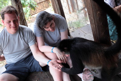 monkeys_164.JPG