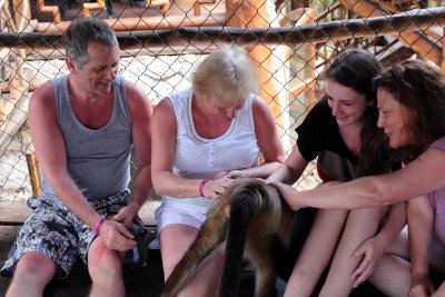 monkeys_165.JPG