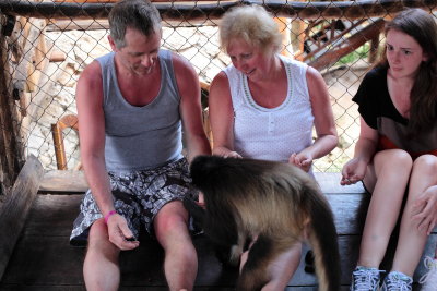 monkeys_167.JPG