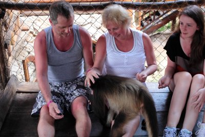 monkeys_168.JPG