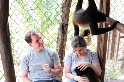 monkeys_187.JPG