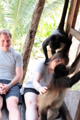 monkeys_194.JPG
