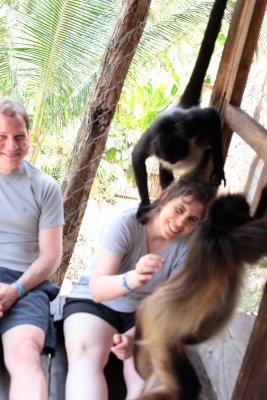 monkeys_196.JPG