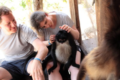 monkeys_197.JPG