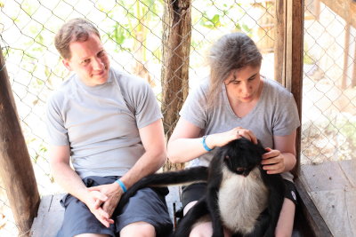 monkeys_198.JPG