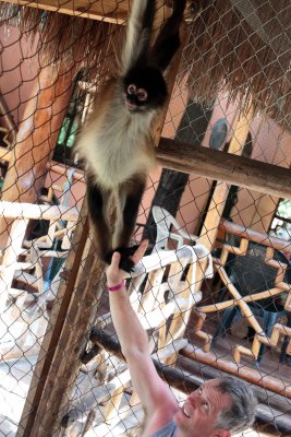 monkeys_200.JPG