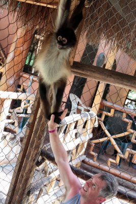 monkeys_201.JPG