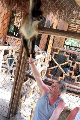 monkeys_202.JPG