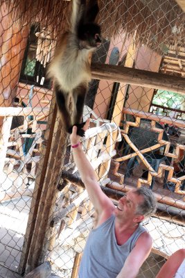 monkeys_203.JPG