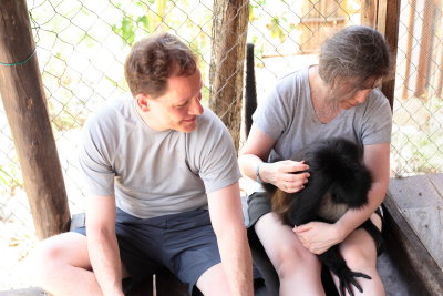monkeys_206.JPG