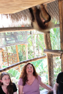 monkeys_208.JPG