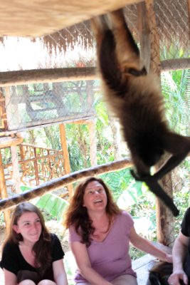 monkeys_211.JPG