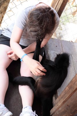 monkeys_215.JPG
