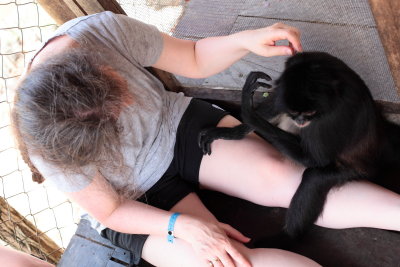 monkeys_217.JPG