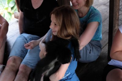 monkeys_243.JPG