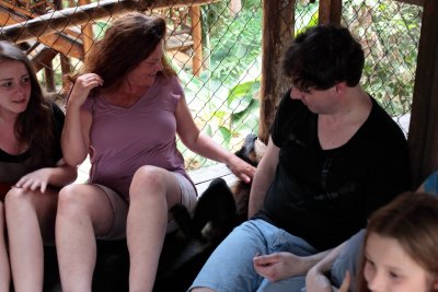 monkeys_245.JPG