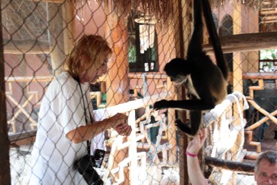 monkeys_250.JPG