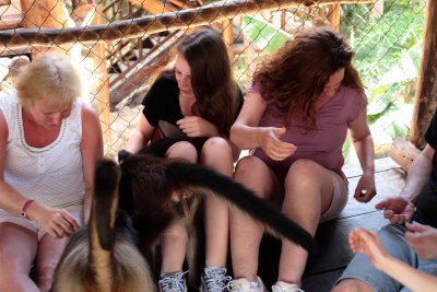 monkeys_252.JPG