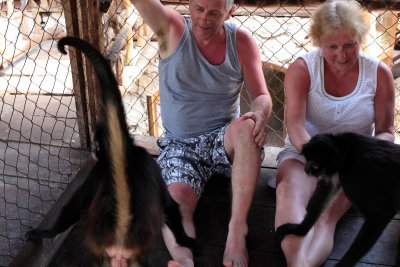 monkeys_254.JPG
