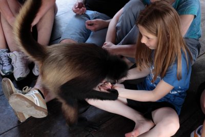 monkeys_255.JPG
