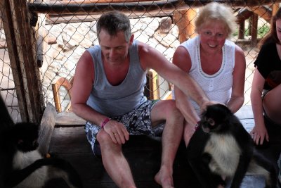 monkeys_258.JPG