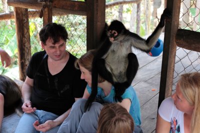 monkeys_260.JPG