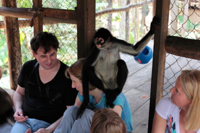 monkeys_261.JPG